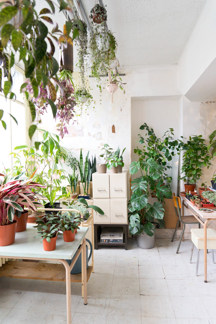 Mama Petula plant concept store in Paris – JOELIX